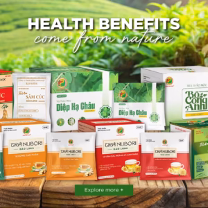 Bao Long Cold Flu Herbal Tea Capsules – Traditional Vietnamese Herbal Supplement (36 Months Shelf Life)