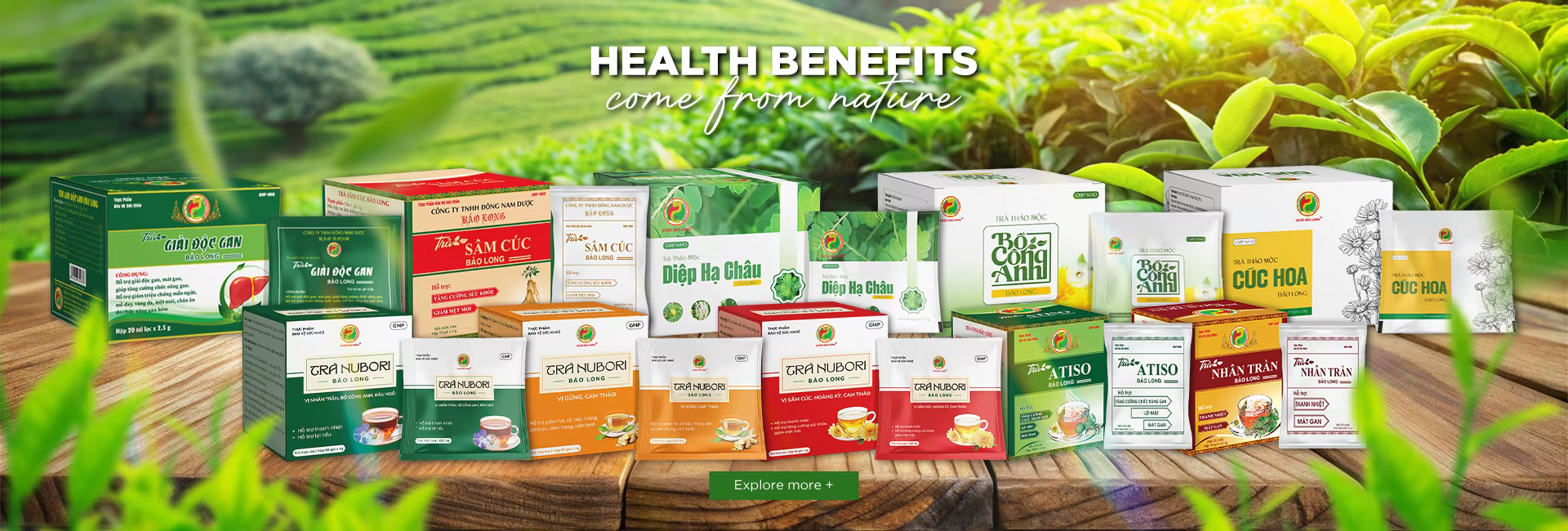 Bao Long Cold Flu Herbal Tea Capsules – Traditional Vietnamese Herbal Supplement (36 Months Shelf Life)
